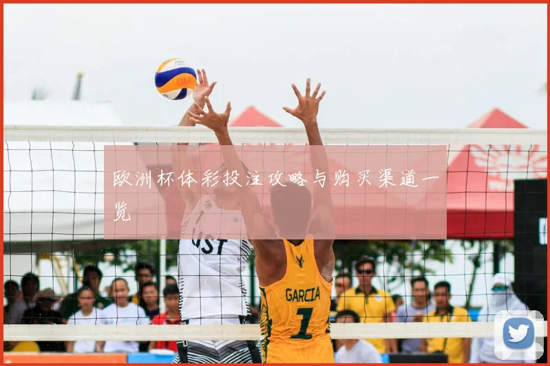 欧洲杯体彩投注攻略与购买渠道一览