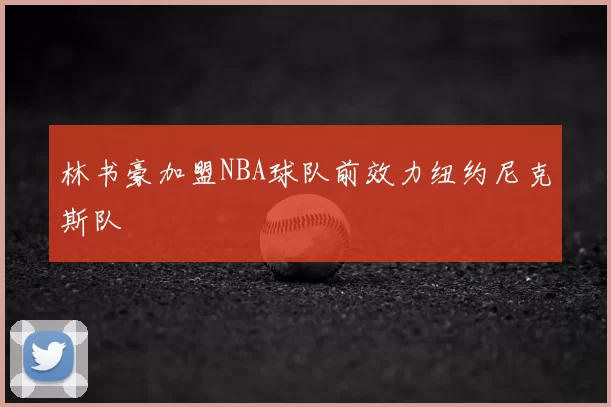林书豪加盟NBA球队前效力纽约尼克斯队