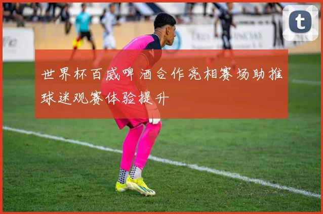 世界杯百威啤酒合作亮相赛场助推球迷观赛体验提升